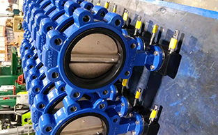 Worm-Gear-Operated-Lug-Butterfly-Valve4