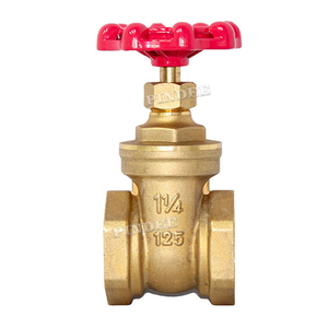 Brass Threaded Gate Valve