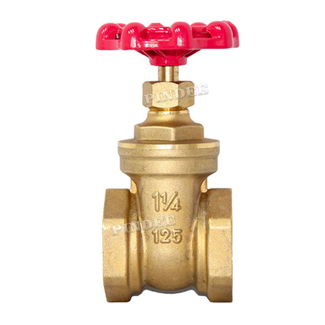 Brass Threaded Gate Valve