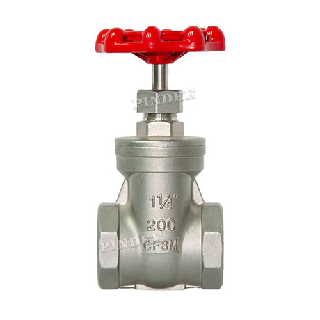 SS Threaded Gate Valve