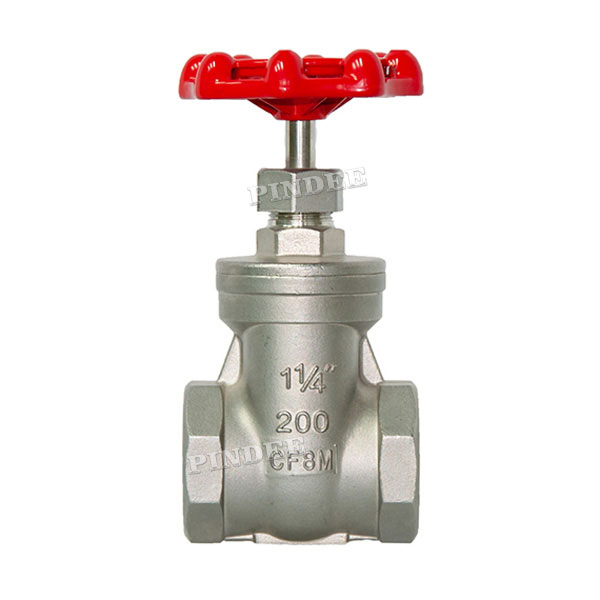 SS Threaded Gate Valve