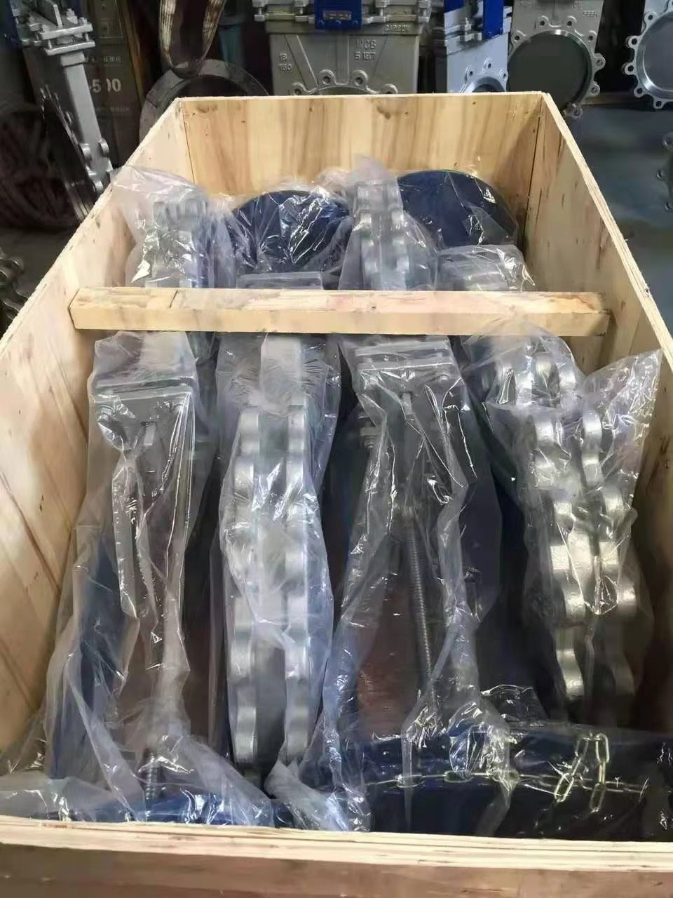 ANSI Cast Steel Gate Valve9