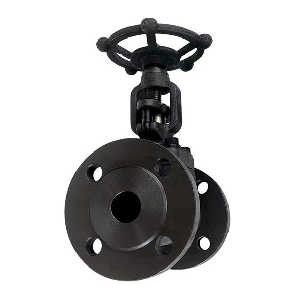 ANSI-150 Forge Steel Gate Valve Flanged End4