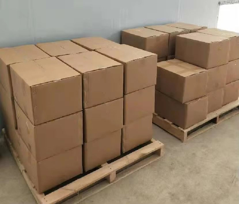 Threaded Gate Valve5