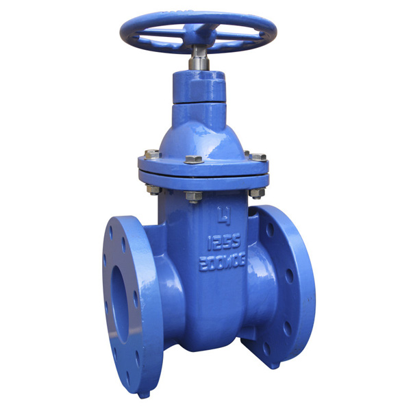MSS SP-70 Metal-Seal Cast Iron Gate Valve