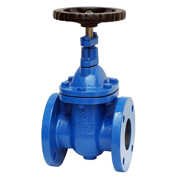 MSS SP-70 Metal-Seal Cast Iron Gate Valve