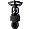 API 602 Forged Steel Gate Valve