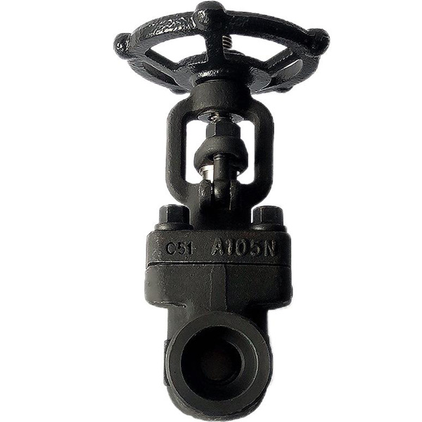 API 602 Forged Steel Gate Valve