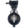 Pindee Valve Manufacture High Performance WCB Wafer Phosphate Butterfly Valve 300LB PN40