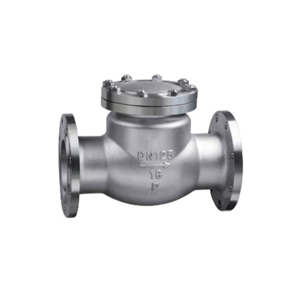 DIN Flange Stainless Steel Swing Check Valve