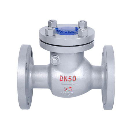 WCB Swing Check Valve