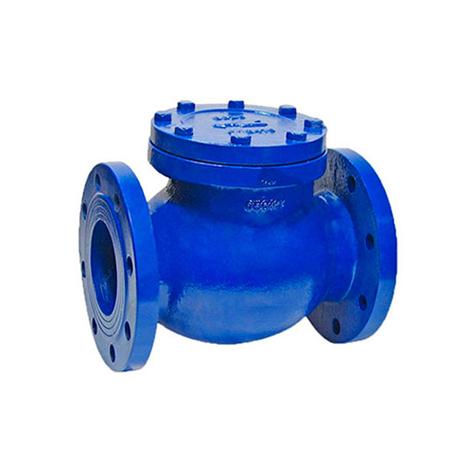 Ductile Iron Swing Check Valve