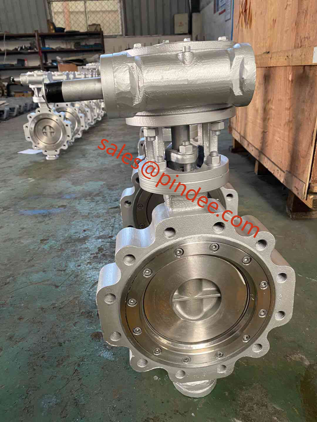 WCB-Triple-Eccentric-Lug-Butterfly-Valve-Pindee-Valve