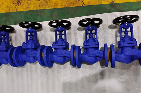 Bellows-Globe-Valve7