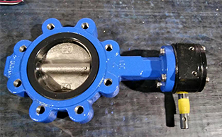 Worm-Gear-Operated-Lug-Butterfly-Valve3