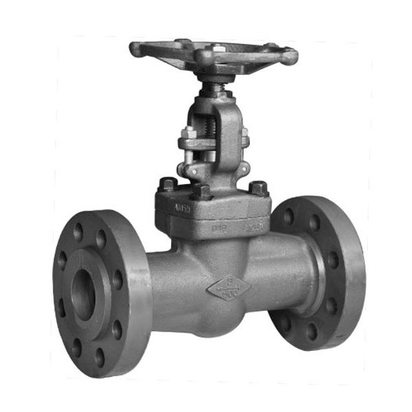 Pindee Valve manufacture Globe Valve