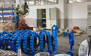 pindee butterfly valve6