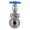 SS Flanged Gate Valve