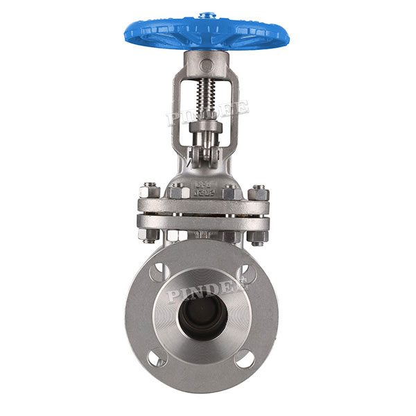 SS Flanged Gate Valve