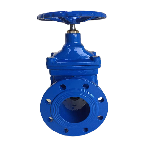 BS5163 Resilient Seat Seal Non-Rising Stem Gate Valve