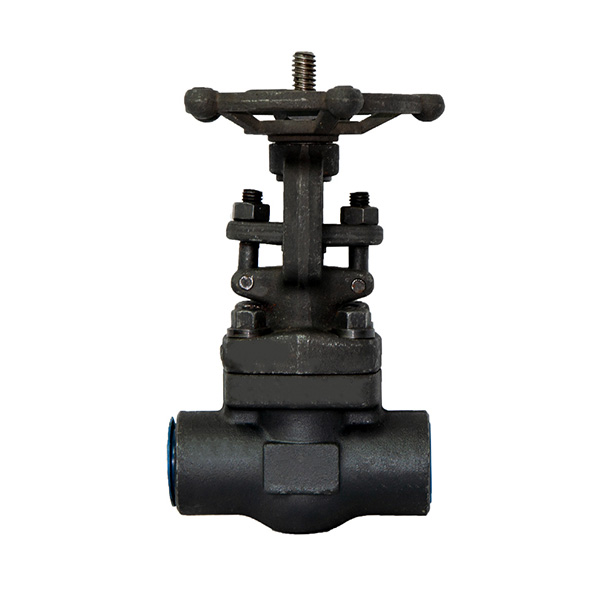 Rising Stem Forged Steel Gate Valve