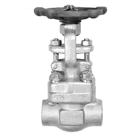 Forged Steel SS304 Gate Valve NPT Class 300