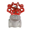Threaded Gate Valve2