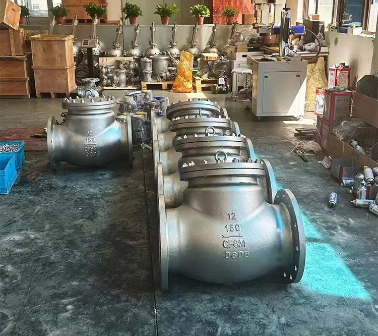 Stainless Steel Rising Stem Gate Valve Display3