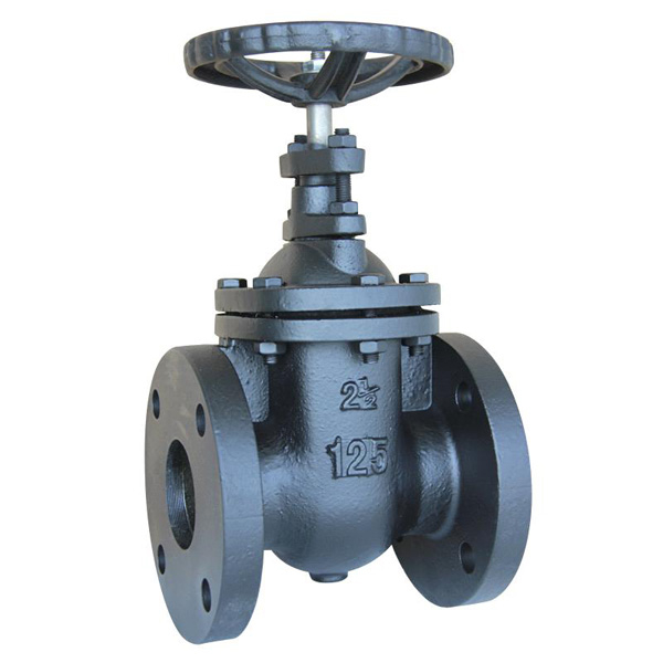 MSS SP-70 Metal-Seal Cast Iron Gate Valve