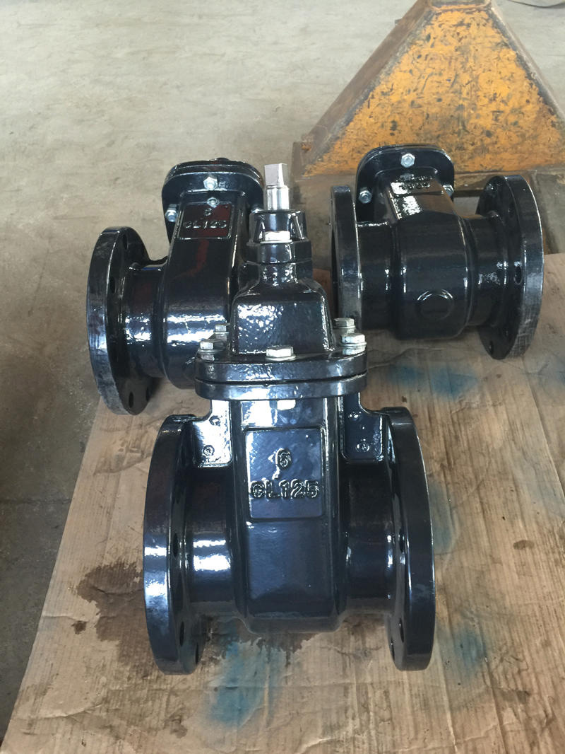 MSS SP-70 Metal-Seal Cast Iron Gate Valve