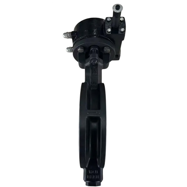Pindee Valve Manufacture High Performance WCB Wafer Phosphate Butterfly Valve 300LB PN40