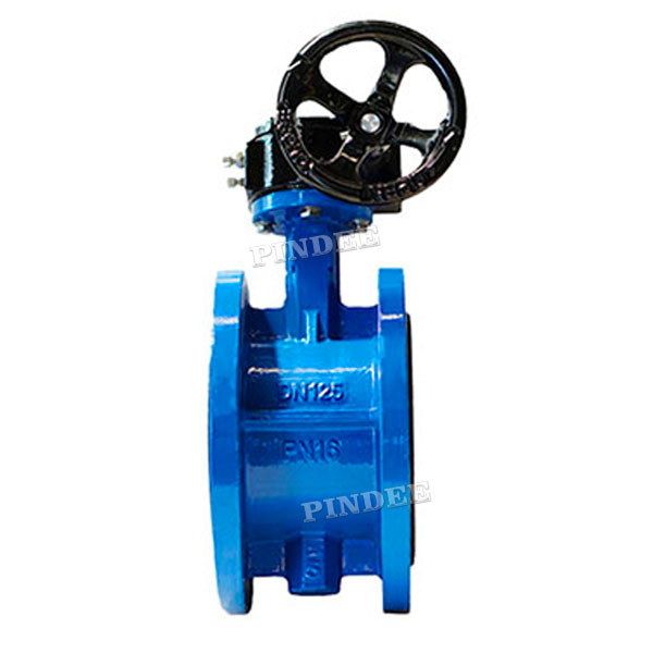 Flange Butterfly Valve