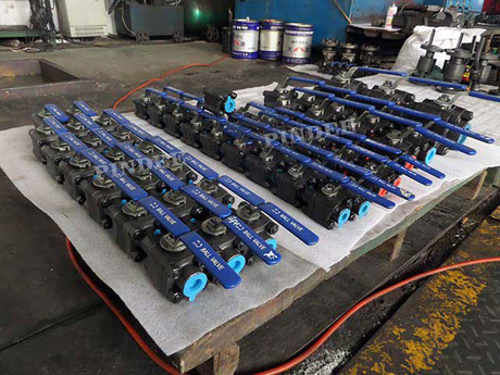 Forged Steel Floating Ball Valve