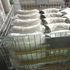 China Factory High Quality ASTM A403 WP304 Stainless Steel Elbow